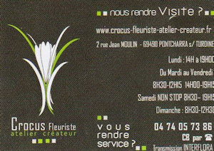 Crocus Floriste