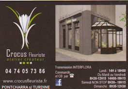 Crocus