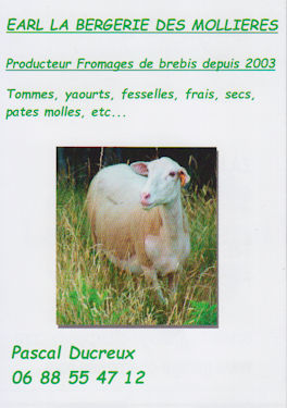 La bergerie des mollieres